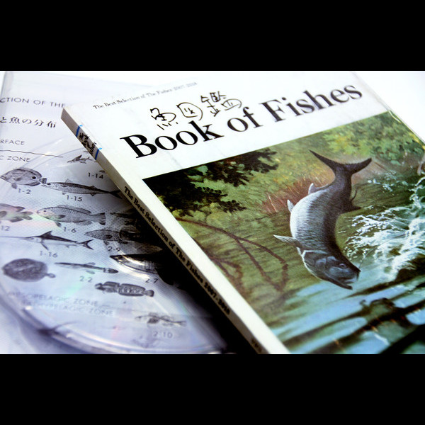 サカナクション | 魚図鑑 （期間限定生産盤） | ビクター