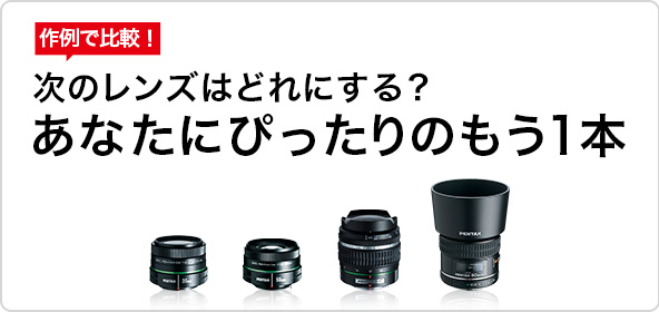 smc PENTAX-FA645 MACRO 120mmF4 / マクロレンズ / 645マウントレンズ