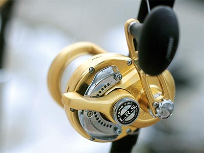 Shimano Torsa Reel Preview
