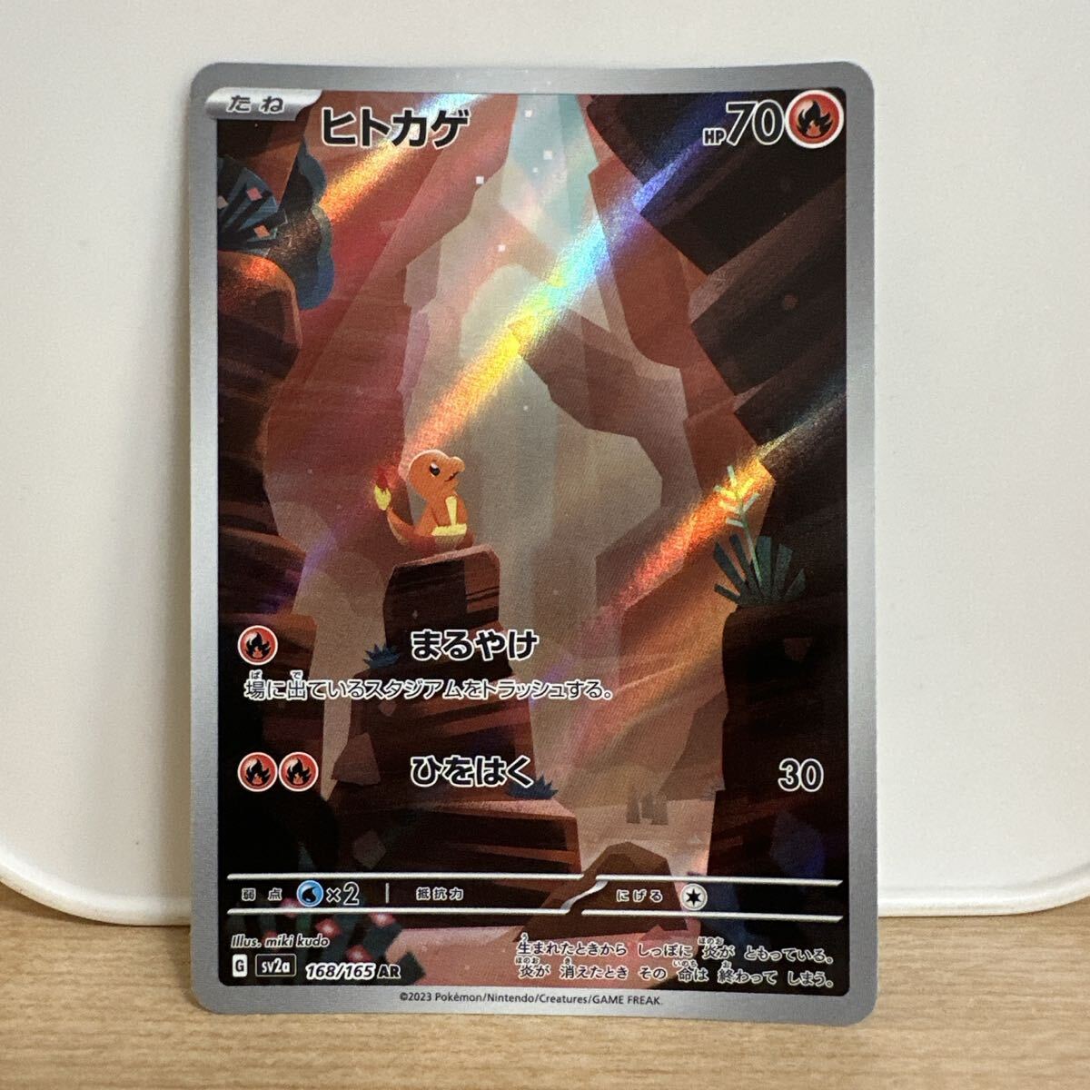 Yahoo!オークション -「ヒトカゲ ar」の落札相場・落札価格