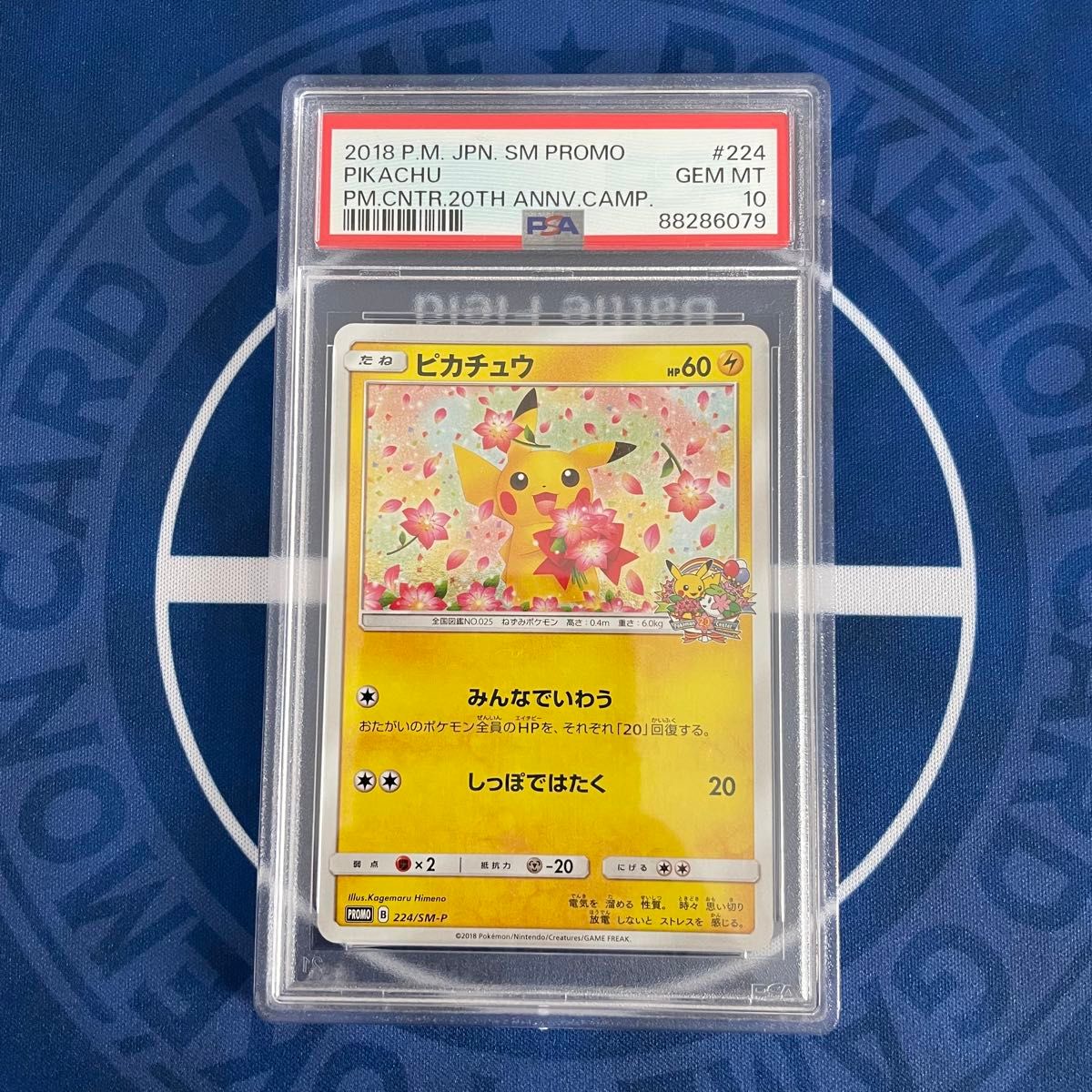 PSA10】ポケモンセンター20周年プロモ ピカチュウ 【ポケモンカード