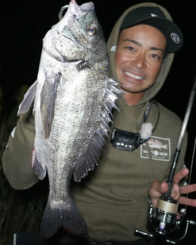 Voodoo 78(2024)トルザイトスペシャル | FIDELITY | フィデリティー