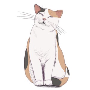 TORA-NEKO JAPAN | eBay Stores