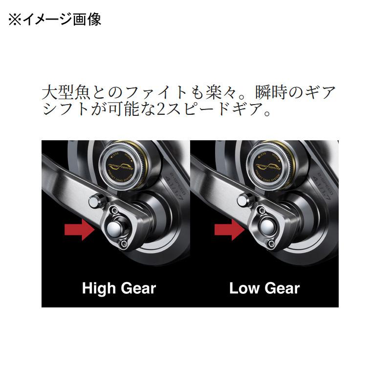 シマノ（SHIMANO） 船・石鯛リール (予約5月発売)26 タリカ 50II 50II