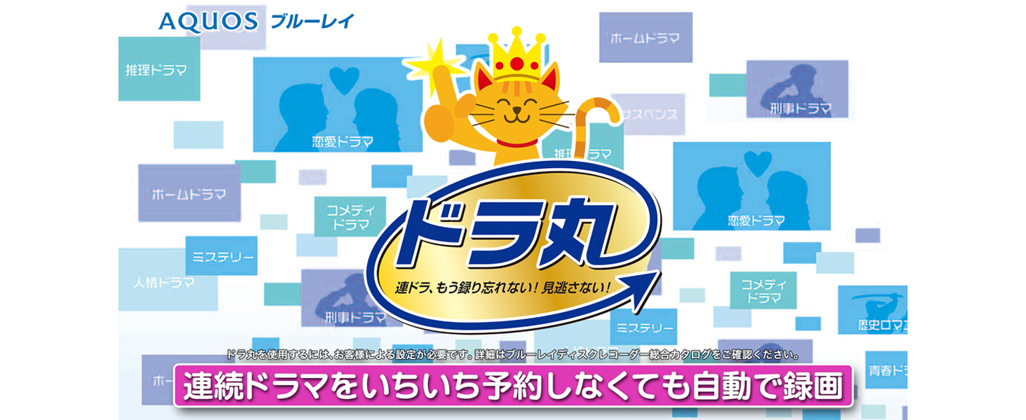 Amazon.co.jp: Sharp 500GB 2B-C05DW1 Blu-ray Recorder, USB 2B