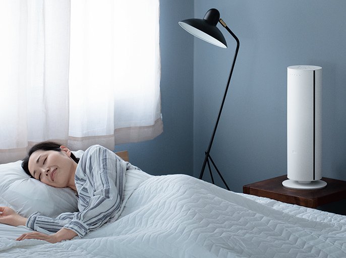 概要 ナノイーX搭載ファンヒーター Hot&Cool DS-FWX1200 | 電気