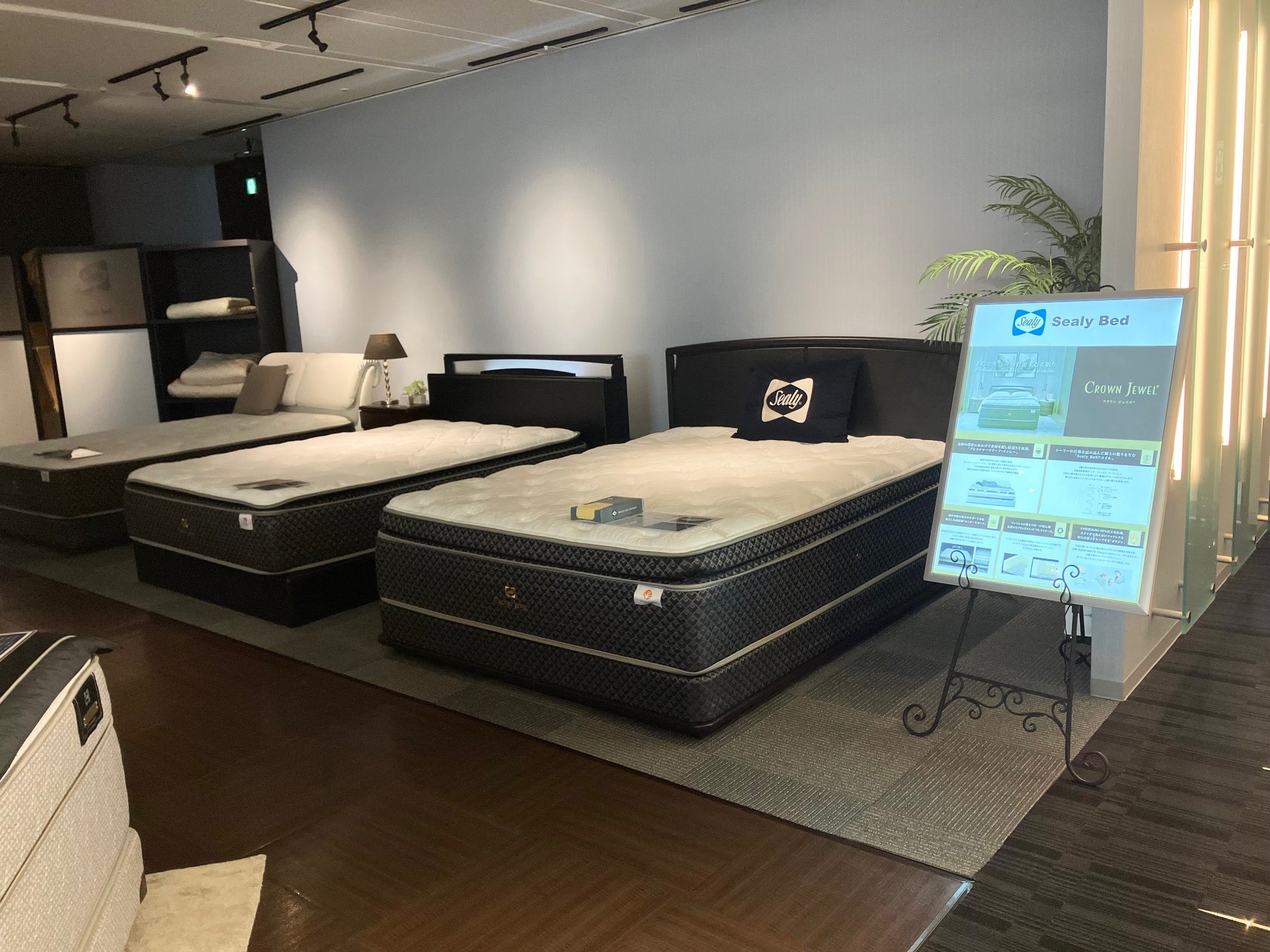 シーリーベッド特別ご優待セール｜大阪府のアウトレット家具