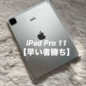 iPad Pro 11 256GB 第3世代(2021発売) 新品 81,000円 中古 | ネット最