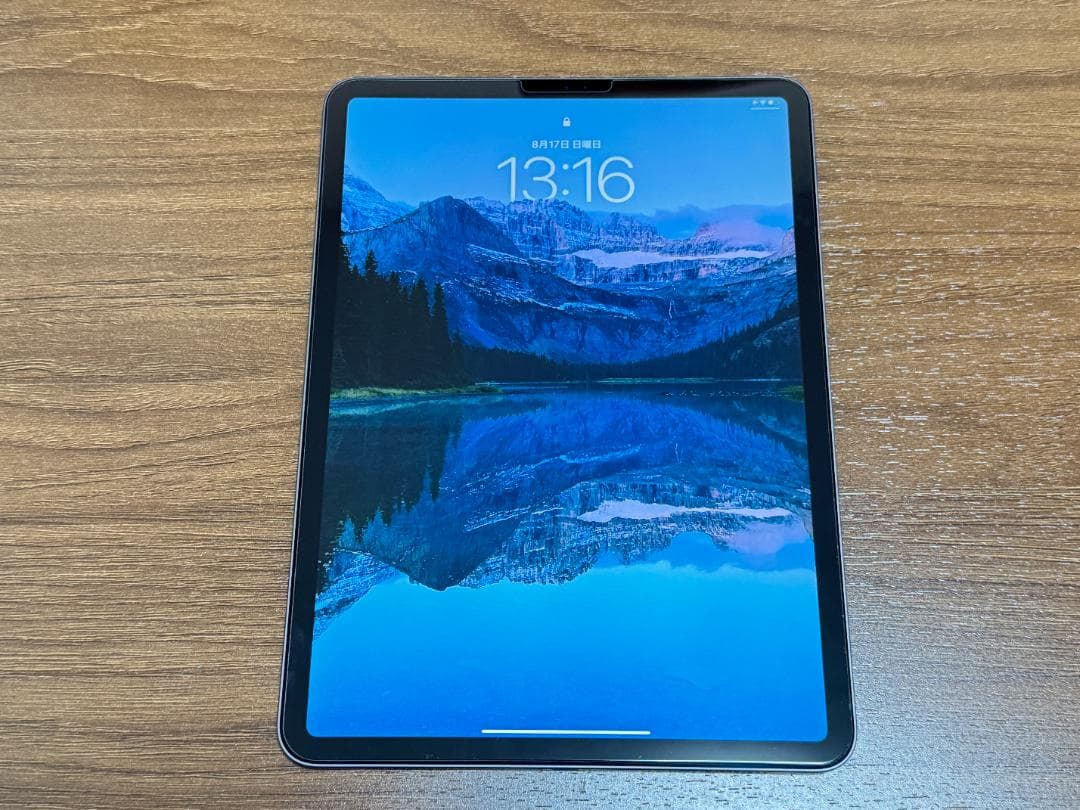 【バッテリー95%】iPad Pro 11インチ (2018) 256GB iPad Pro 11