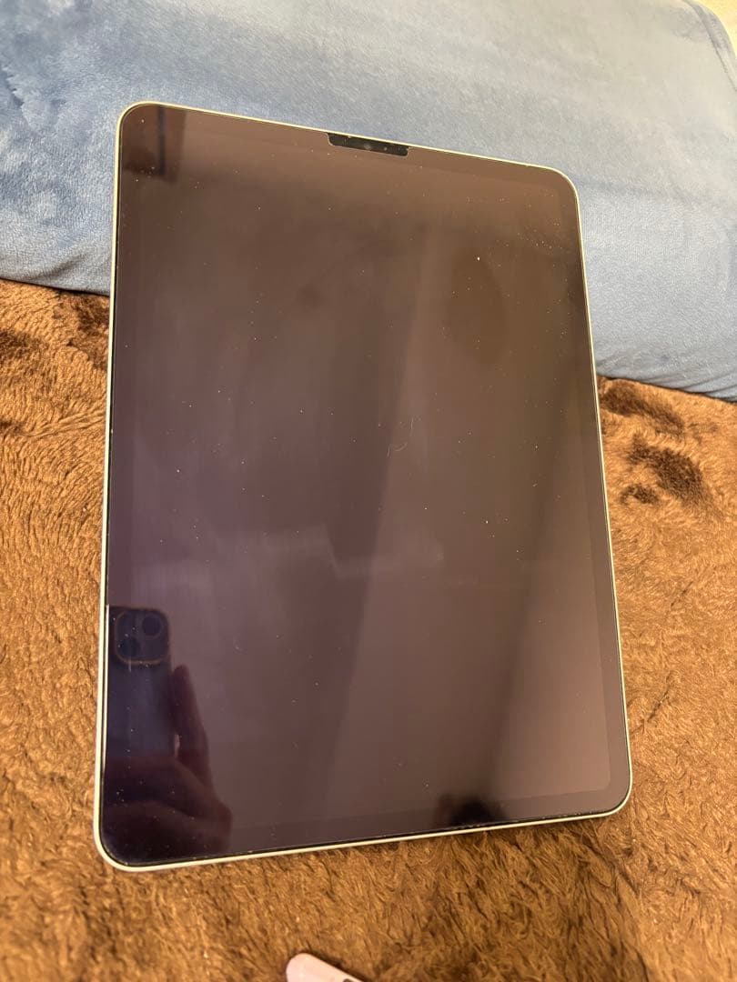 ※iPad Pro 第3世代　11インチ Apple iPad Pro 11インチ 第3世代 Wi-Fi+Cellular 256GB 2021年春