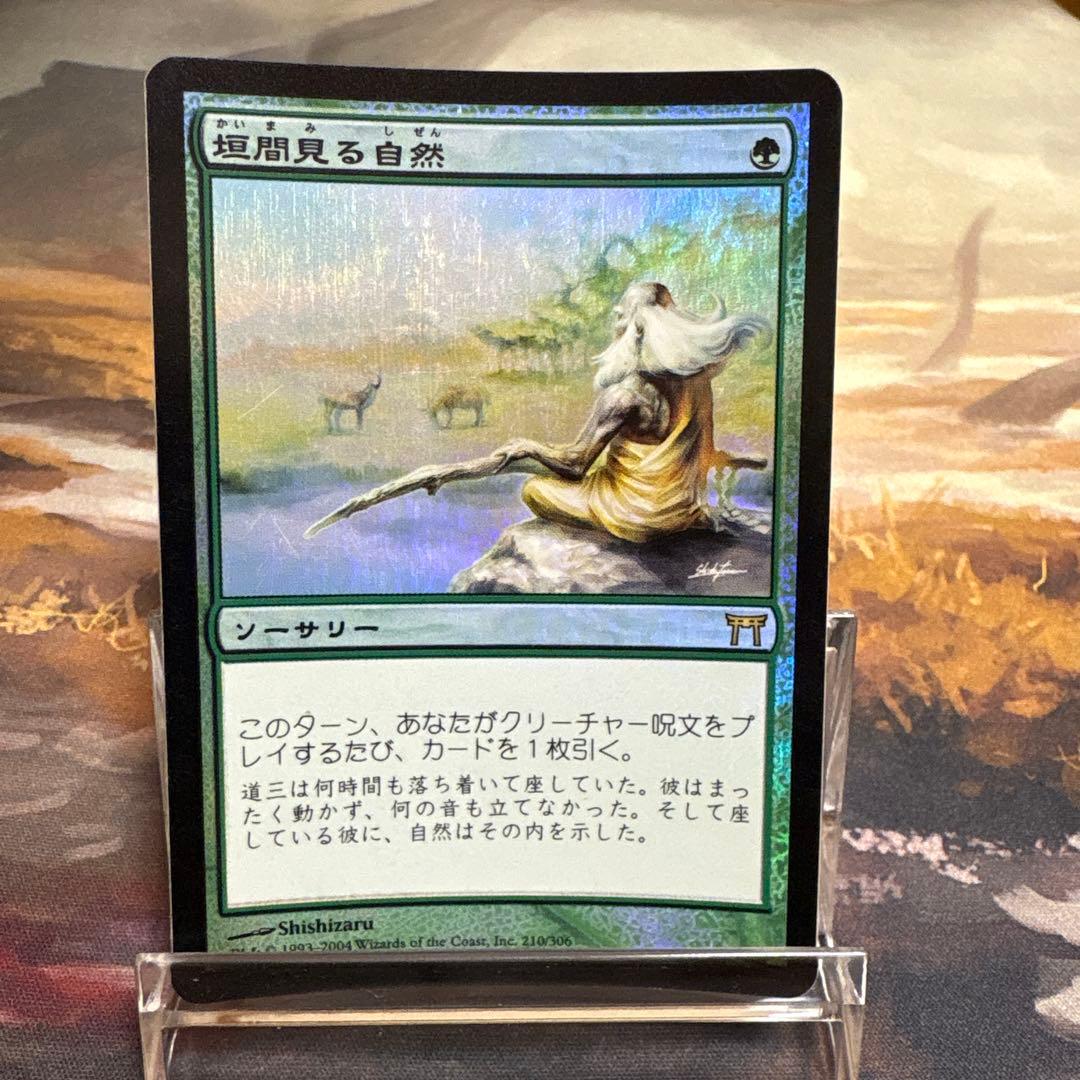 垣間見る自然 日本語 Foil 藤本壮介氏が手掛ける 石垣島に溶け込むヴィラ〈NOT A HOTEL ISHIGAKI