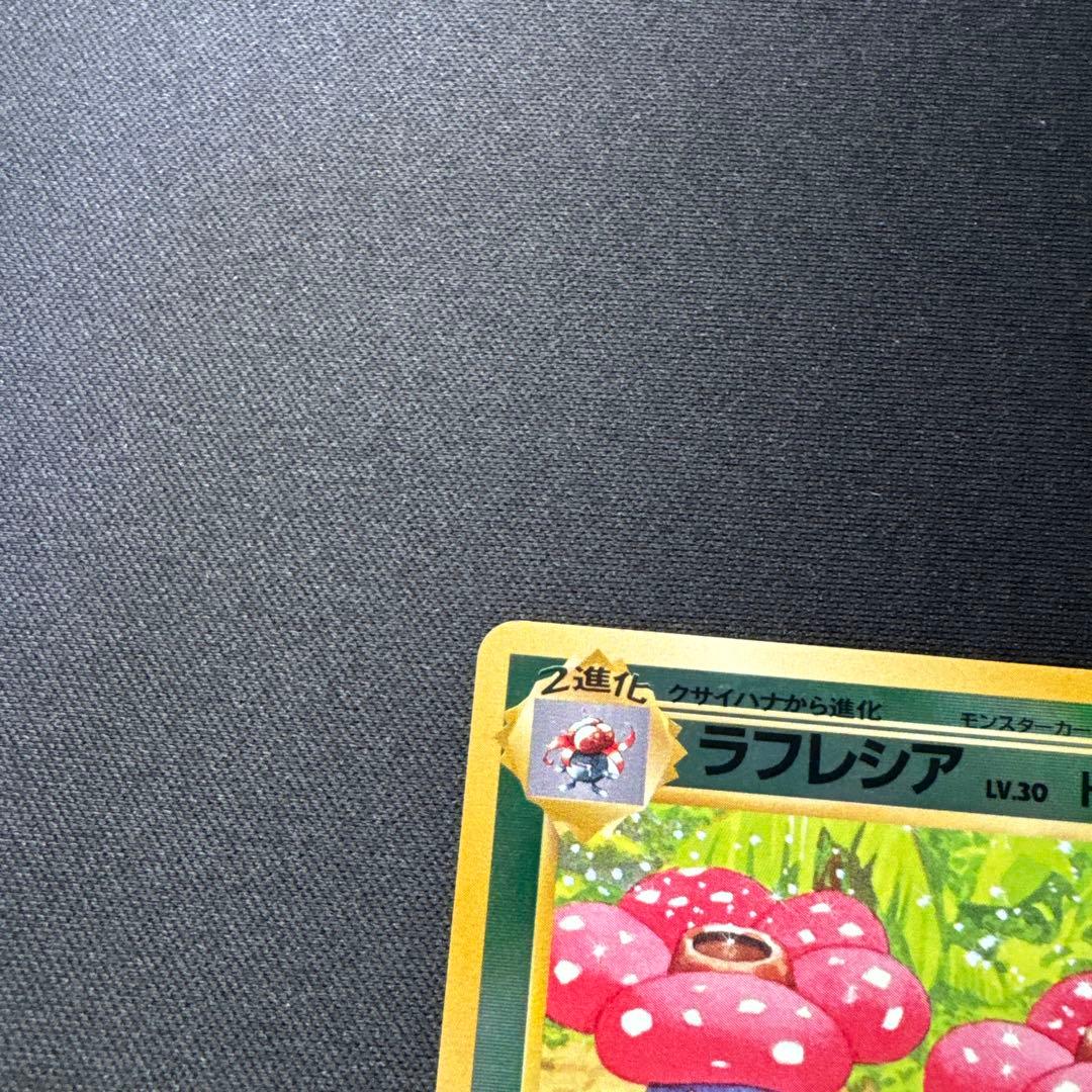 ポケモンカード 旧裏 ラフレシア LV.30 サザンアイランド PROMO - メルカリ