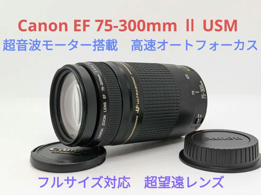 11月30日限定【超望遠レンズ】Canon EF 75-300mm Ⅱ USM Amazon.co.jp: Canon EFレンズ EF75-300mm F4-5.6 IIIズームレンズ