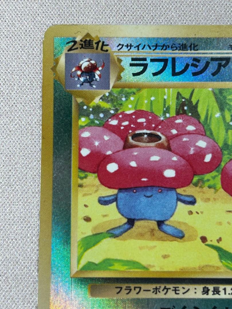 ラフレシア 映画公開記念パック サザンアイランド 旧裏 リバホロ