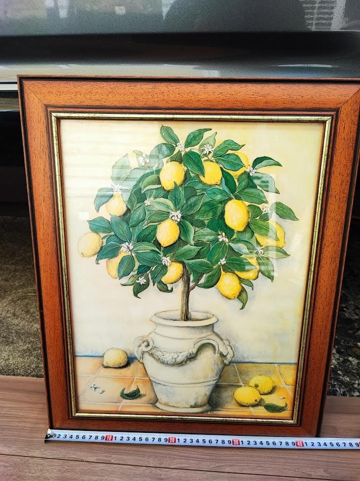 アンティーク　イタリア製　フレーム　レモン　アート　額縁　カントリー　33×44 アートポスター | LEMON（レモン）yellow フレーム50＋額装マット付き